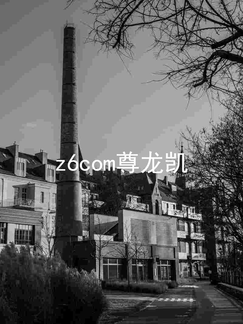 z6com尊龙凯