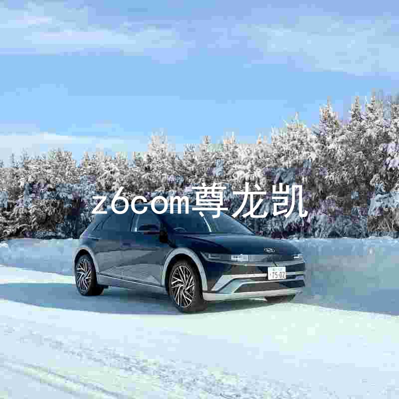 z6com尊龙凯