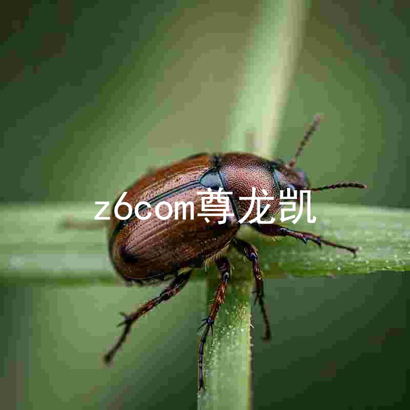 z6com尊龙凯