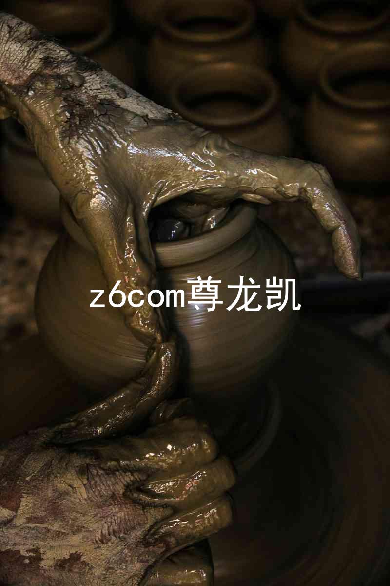 z6com尊龙凯