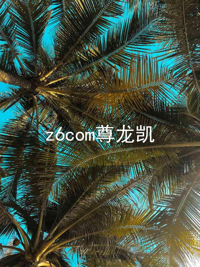 z6com尊龙凯
