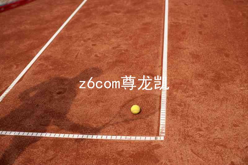 z6com尊龙凯